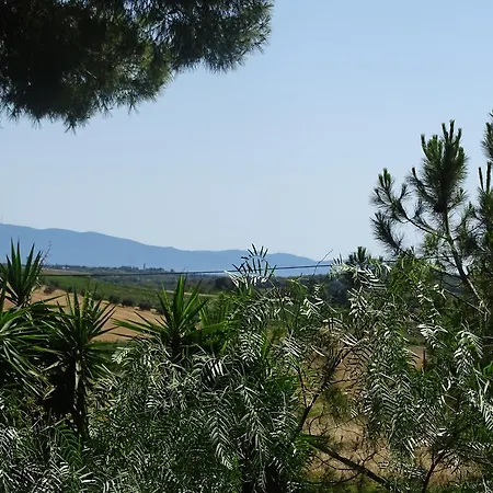 Casa de Campo Dependance Anna De Croy Magliano in Toscana