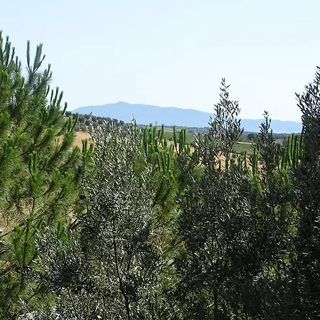 Dependance Anna De Croy * Magliano in Toscana